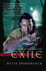 Cover of Exile