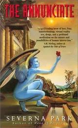 Cover of The Annunciate