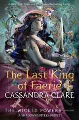 Cover of The Last King of Faerie