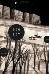 Cover of Dog Boy