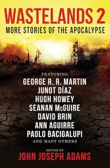 Cover of Wastelands 2: More Stories of the Apocalypse