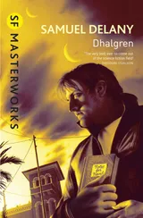 Cover of Dhalgren