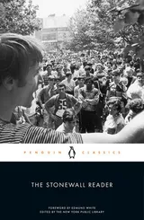 Cover of The Stonewall Reader
