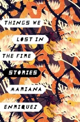 Cover of Things We Lost in the Fire