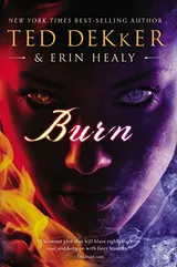 Cover of Burn