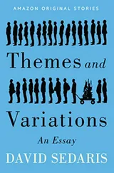 Cover of Themes and Variations
