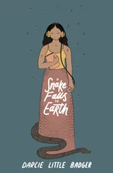 Cover of A Snake Falls to Earth