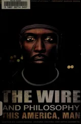Cover of The Wire and Philosophy: This America, Man