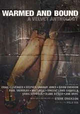 Cover of Warmed and Bound: A Velvet Anthology