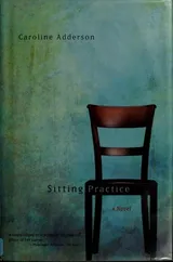 Cover of Sitting Practice