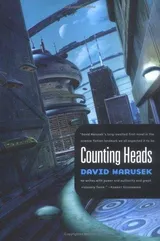Cover of Counting Heads