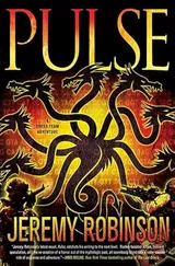 Cover of Pulse