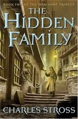 Cover of The Hidden Family