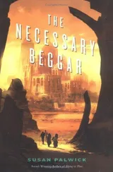 Cover of The Necessary Beggar