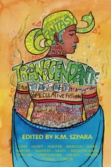 Cover of Transcendent: The Year's Best Transgender Speculative Fiction