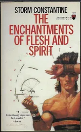 Cover of The Enchantments of Flesh and Spirit