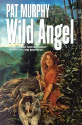 Cover of Wild Angel