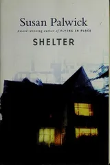 Cover of Shelter
