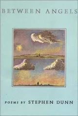 Cover of Between Angels