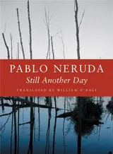 Cover of Still Another Day