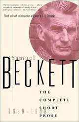 Cover of The Complete Short Prose of Samuel Beckett, 1929-1989