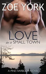 Cover of Love in a Small Town