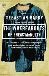 Cover of The Whereabouts of Eneas McNulty