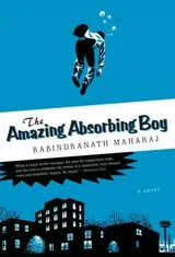 Cover of The Amazing Absorbing Boy