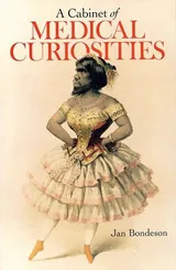Cover of A Cabinet of Medical Curiosities