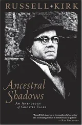 Cover of Ancestral Shadows