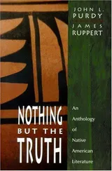 Cover of Nothing But the Truth