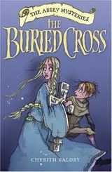 Cover of The Buried Cross