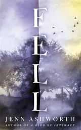 Cover of Fell