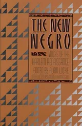 Cover of The New Negro