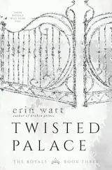 Cover of Twisted Palace