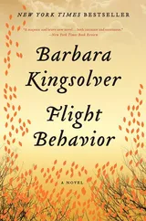 Cover of Flight Behavior