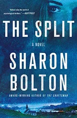 Cover of The Split