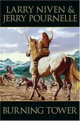 Cover of Burning Tower