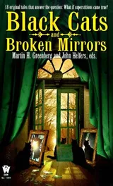 Cover of Black Cats and Broken Mirrors