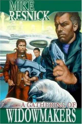 Cover of A Gathering of Widowmakers