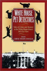 Cover of White House Pet Detectives