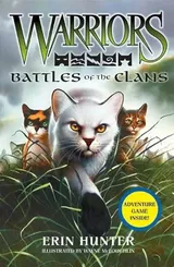 Cover of Battles of the clans