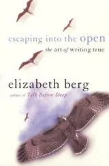 Cover of Escaping Into the Open