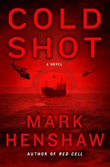 Cover of Cold shot a novel