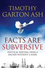 Cover of Facts are Subversive: Political Writing from a Decade without a Name
