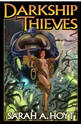 Cover of DarkShip Thieves