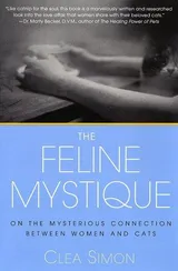 Cover of The Feline Mystique