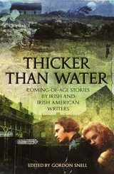 Cover of Thicker Than Water
