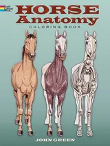 Cover of Horse Anatomy Coloring Book