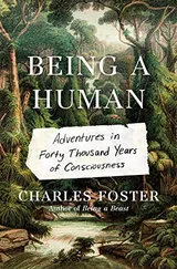 Cover of Being a Human